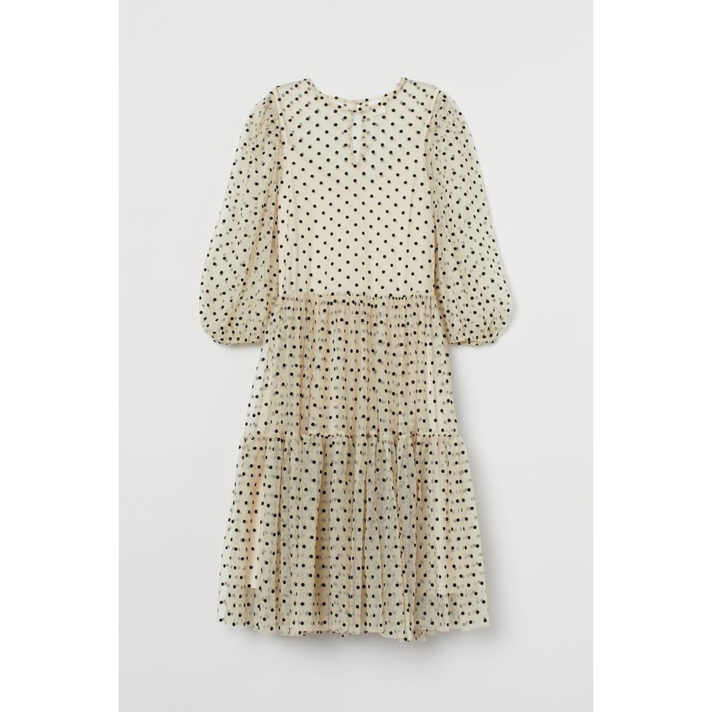 H&M Mesh Dress